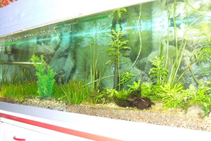 aquarium 400L